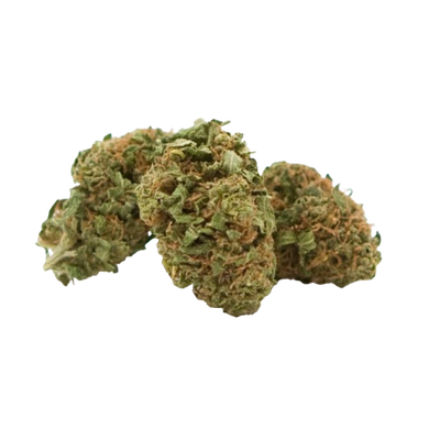 Amnesia small