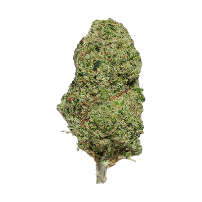 Gorillia Glue