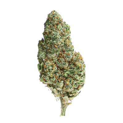 AMNESIA Kush