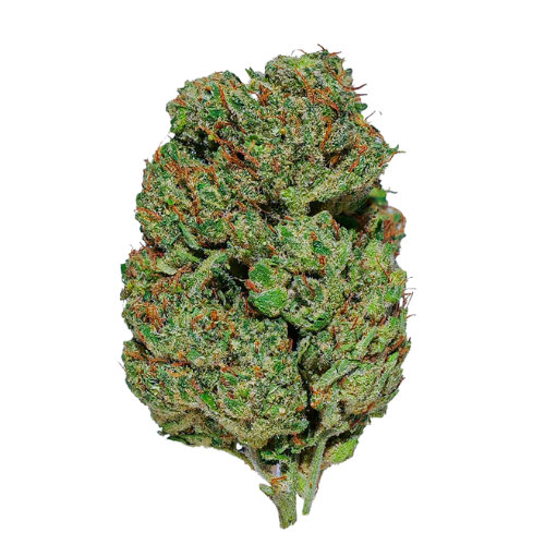 Bannière CBD Premium
