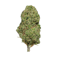 Gorillia Glue