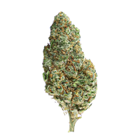 AMNESIA Kush