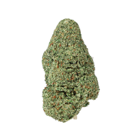 Girl Scoot Cookies