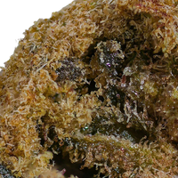 MoonRock