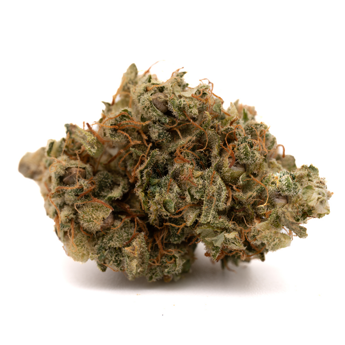 SHOUR SHERBET TH-X