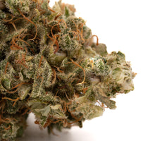 SHOUR SHERBET TH-X